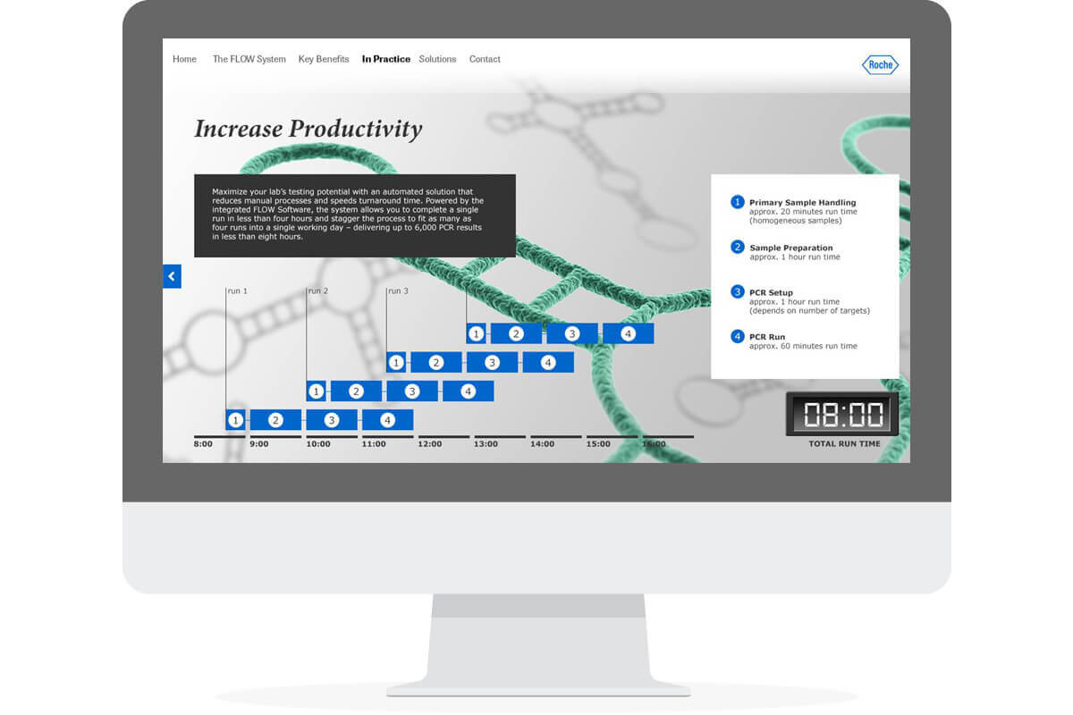 Roche Flow Microsite 4